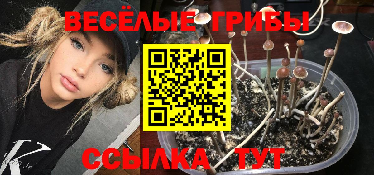 Псилоцибиновые грибы прущие грибы Новомосковск