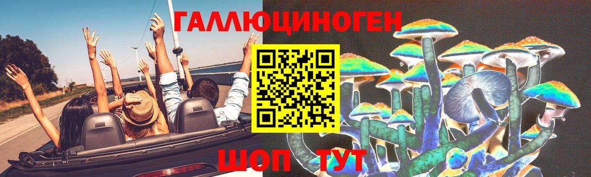 Новомосковск  Псилоцибиновые грибы прущие грибы  Вход с VPN 