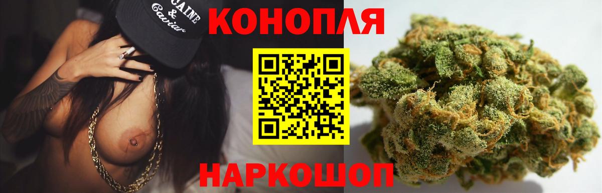 МАРИХУАНА план  МАРИХУАНА тримм  Новомосковск  Канабис White Widow  Вход с VPN  МАРИХУАНА тримм 